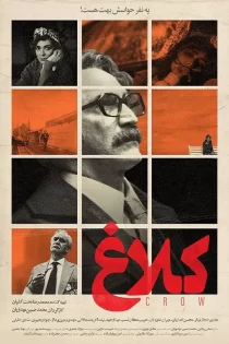 سریال کلاغ